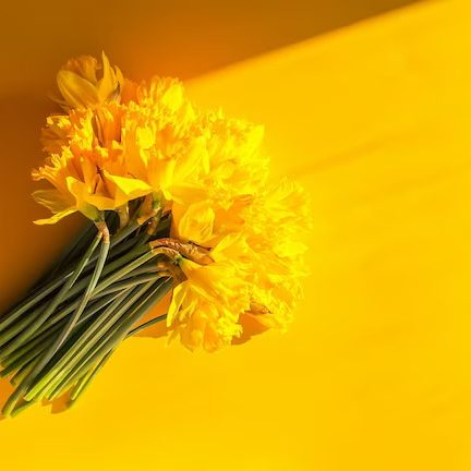 beautiful-bouquet-spring-yellow-narcisus-flowers-daffodils_154156-9964