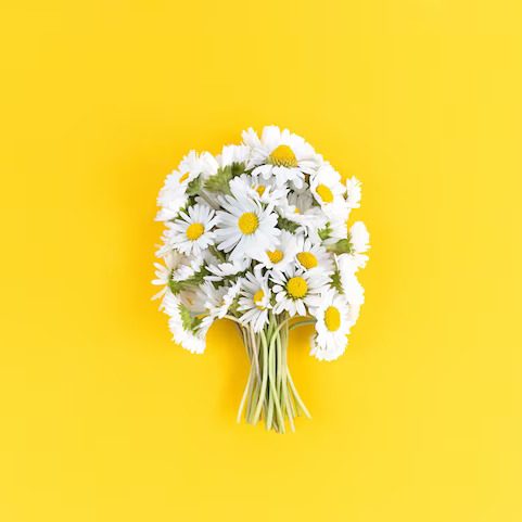 bouquet-from-chamomile-flowers-yellow-surface_313478-354 (1)